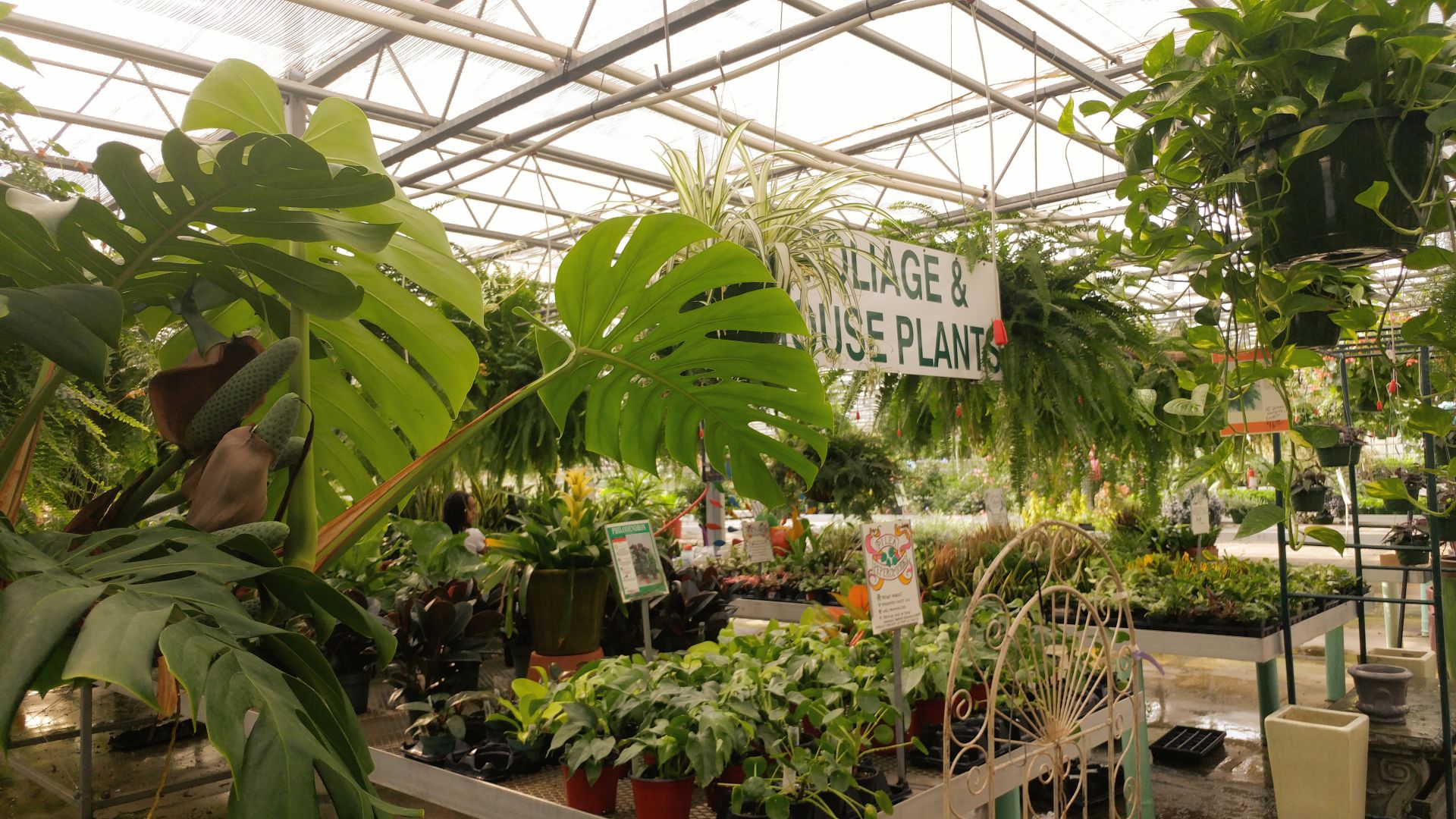 Stanley's Greenhouse